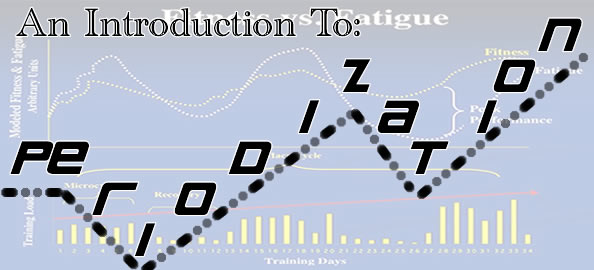 TL BJJ Naples, FL and BJJ Engineer present : Introduction to Periodization for BJJ